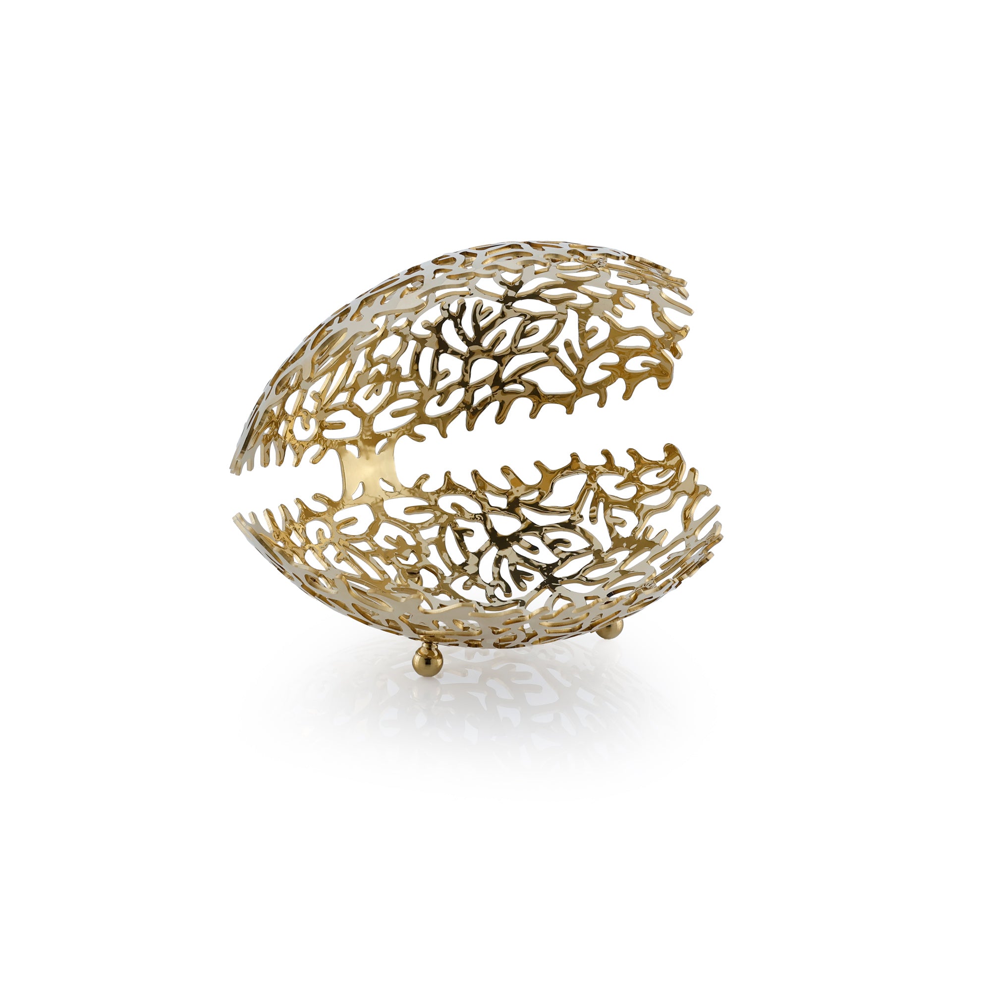 Coral Muschel